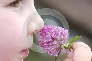 A child with trefoil photo