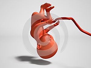 Child with umbilical tube upside down 3d render on gray background with shadow