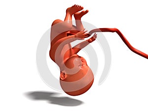 Child with umbilical tube upside down 3d render on white background with shadow