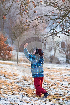 Child under a apple tree in winter garden.