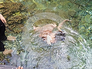 The child under water