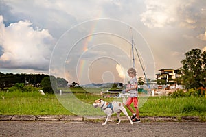 Child walking dog. Kid and pet watch rainbow