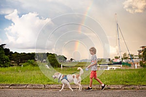 Child walking dog. Kid and pet watch rainbow