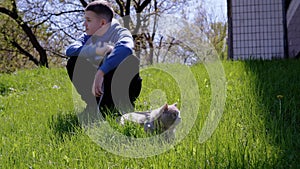 Child Walking Gray Domestic Cat on a Leash Outdoors on Green Grass. 4K