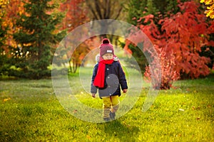 A child walks in the autumn in the park - A child walks in the a