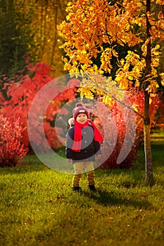 A child walks in the autumn in the park - a smiling boy stands b