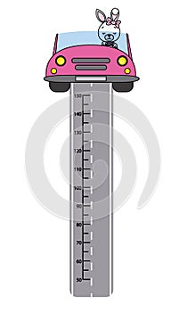 Cute rabbit in a car