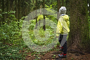 Child was lost in the forest. Little boy lost his way in the forest. A child walks through the green forest alone