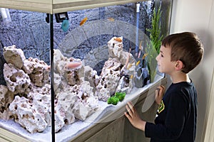 Child watching fish tank.