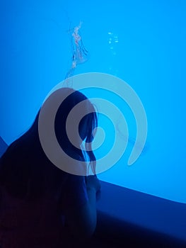 Child watching jellyfish in aquarium