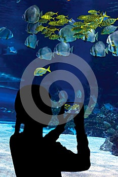 Child, watching the shark swimming in oceanar