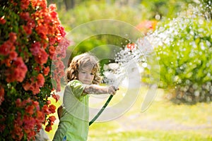 Child watering flowers and plants in garden. Kid with water hose in backyard. Kids gardening. Kids summer fun outdoor at