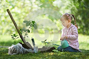 Child watering just planted tree. Children will save the earth