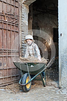 Child fixes a barrow with hay