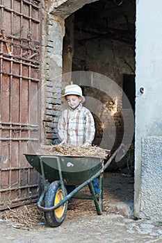 Child fixes a barrow with hay