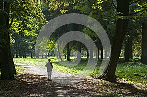 Child in the woods