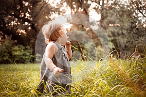 A child in the woods against a backdrop of trees and grass. A one-year-old girl is studying nature. Sunny sunset, a child in a