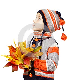 Child Boy, woolen clothes autumn leaves. Maple fall over white