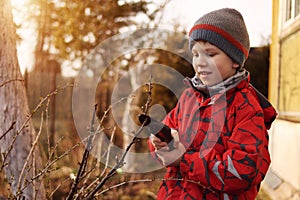 Child works in the garden. Boy shears trims trees and shrubs in the spring or fall