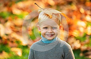 Child with yellow leaf in autumn park. Cute little boy enjoy autumn nature has happy face. Child portrait. Smile kids