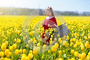 Child in yellow tulip flower field in Holland