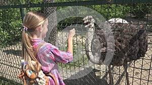 Child in Zoo Park, Girl Feeding Ostrich, Kids Love Nursing Animals, Pets Care