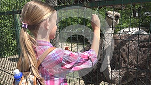 Child in Zoo Park, Girl Feeding Ostrich, Kids Love Nursing Animals, Pets Care