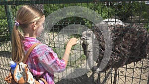 Child in Zoo Park, Girl Feeding Ostrich, Kids Love Nursing Animals, Pets Care