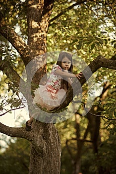 Childhood. Child climb tree branch in summer garden, secret or silence