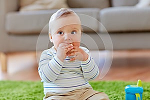 Baby boy on floor and eating rice cracker at home