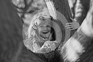 Childhood leisure, happy kids climbing up tree and having fun in summer park. Funny kids face. Children love nature on
