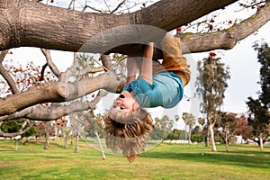 Childhood leisure, happy kids climbing up tree and having fun in summer park. Kid boy playing and climbing a tree and