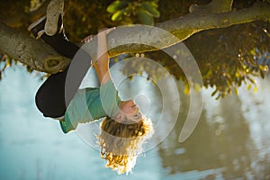 Childhood leisure, happy kids climbing up tree and having fun in summer park. Young boy playing and climbing a tree and