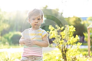 Childhood, nature, summer, parks and outdoors concept - portrait of cute blond-haired little boy in striped multi