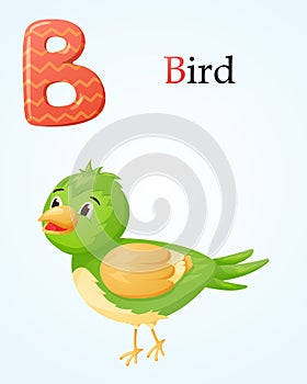 Childish banner template with alphabet letter B and cartoon image of a bird.