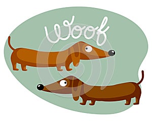 Childish illustration with cute dachshund dogs and english text woof. Happy concept, colorful background, print