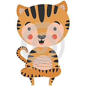 Childish isolated illustration of a cute character tiger cub in yoga asana Kukkutasana rooster pose on a white background. 
