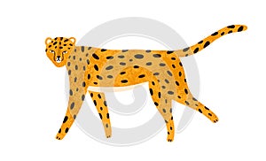 Childish textured portrait of walking leopard in scandinavian simple style. Cute jaguar or cheetah isolated on white
