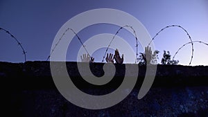 Children and adult hands behind barbed wire, forced settlements, refugee camp