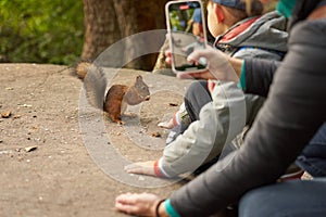 Children and adults feed the squirrel nuts.