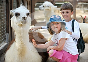 Children and animals in the zoo