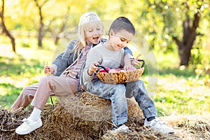 Children with Apple in Orchard. Harvest Concept