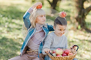 Children with Apple in Orchard. Harvest Concept