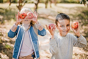 Children with Apple in Orchard. Harvest Concept
