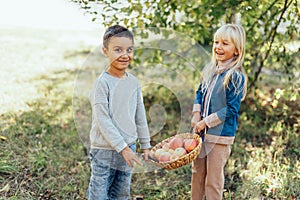 Children with Apple in Orchard. Harvest Concept.