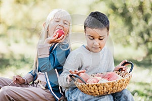 Children with Apple in Orchard. Harvest Concept. Garden, mixed race boy and blonde girl eating fruits at fall