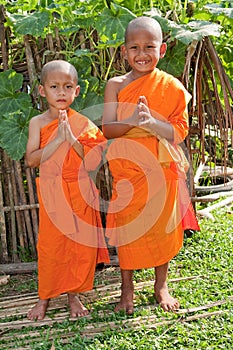 Children as Buddhist novices Laos