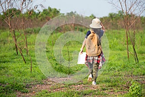 Children asian girl walking and holding maps and travel backpacks in the forest for education nature.