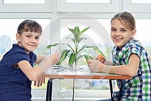 Children assemble a puzzle at home and happily look into the frame