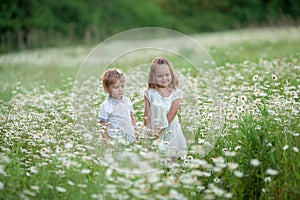 Children boy and girl kissing on the background of a white field with daisies